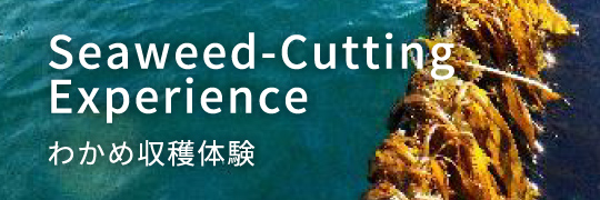 Seaweed-Cutting Experience わかめ収穫体験