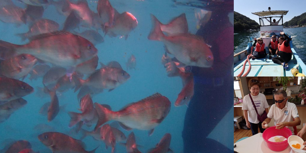 Sea Bream Spectacular Tour Visualize the life of a fish